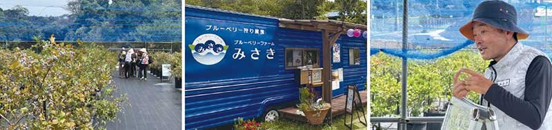 ブルーベリーファームみさき