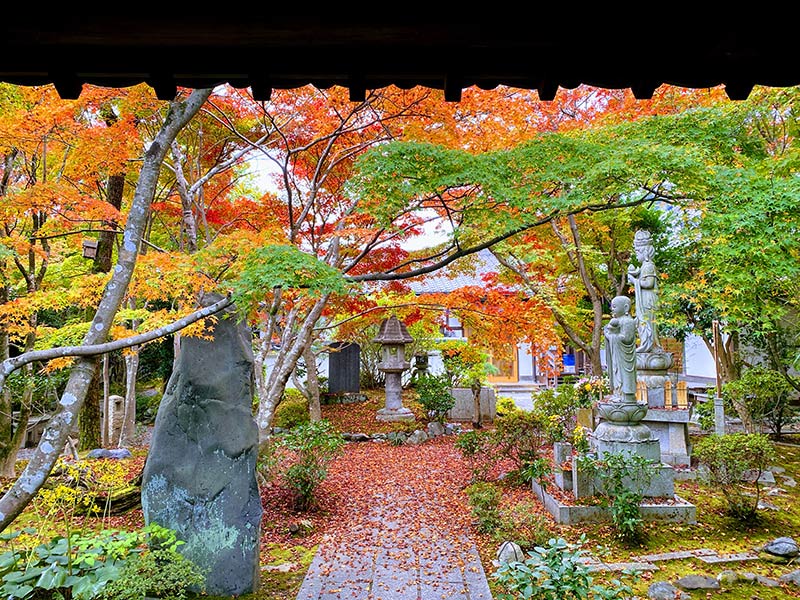 秋の正覚寺