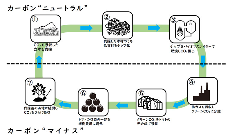 カーボンマイナスに向けた取り組み