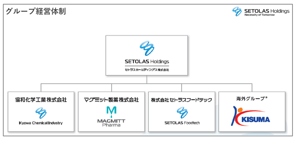 セトラスホールディングスのグループ経営体制図