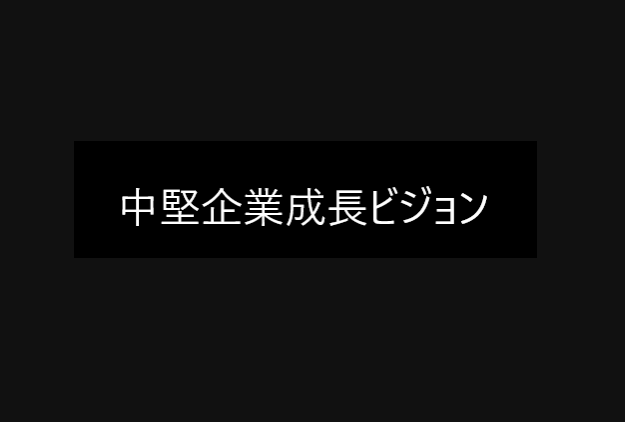 中堅企業成長ビジョン後編